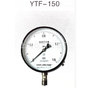 <b>耐腐压力表</b>|YTF-100