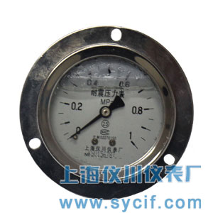 <b>不锈钢轴向带前边耐震压力表</b>|YN-60ZT